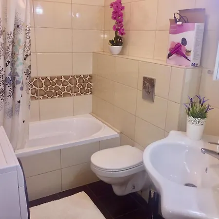 Balint & Timi Wellness Apartman 시오포크