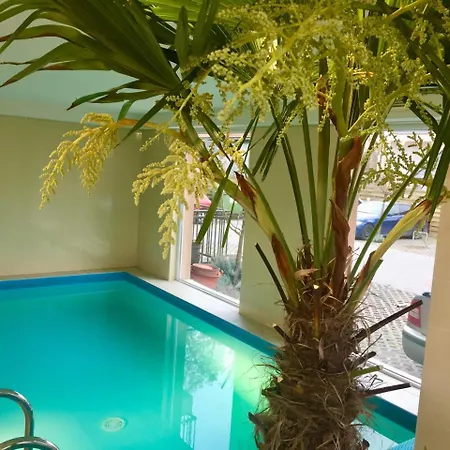 Balint & Timi Wellness Apartman Lejlighed Siófok