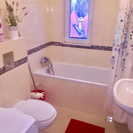 Balint & Timi Wellness Apartman Lejlighed